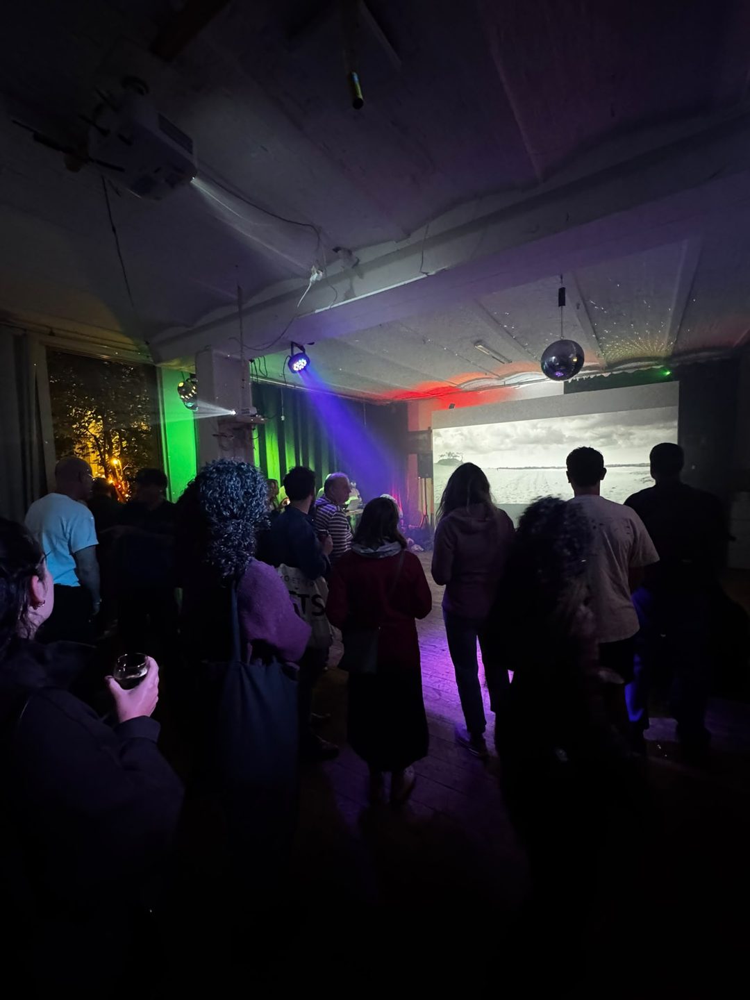 People standing in front of the screen under coloured lights and a disco ball